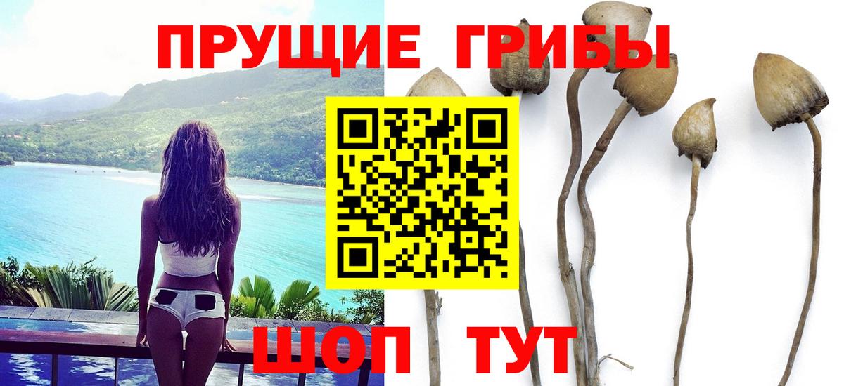 Метадон Балашов