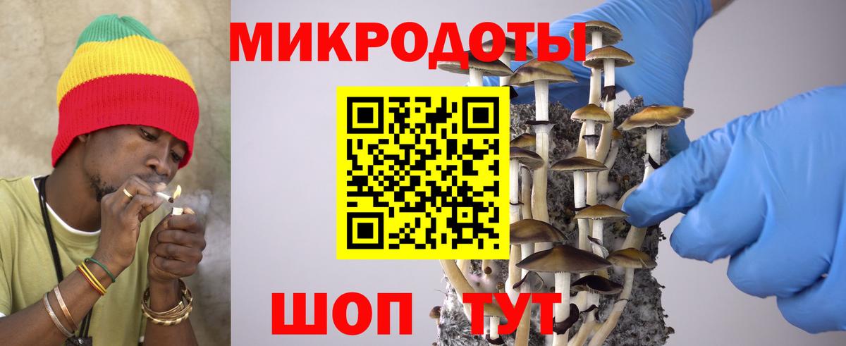 Галлюциногенные грибы мицелий  продажа наркотиков  Галлюциногенные грибы мухоморы  Балашов  Вход с VPN 